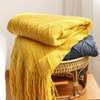 Soft Knitted Throw Blanketswith Tassel thumb 0