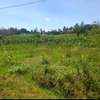 A Half Acre plot for sale at Clay City, Kasarani thumb 0