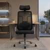 Office Chairs : High-back Ergonomic Office Chair thumb 0