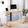 Standing Desk; 1.2M Electric Standing Desk thumb 7