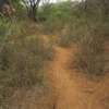 3,000 Acres Is Available For Lease In Kambu Makueni County thumb 2