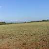 30 ACRES PROPERTY FOR SALE IN NAROMORU WITH A RIVER FRONTAGE thumb 2