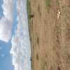 Affordable plots for sale  in Mlolongo thumb 0