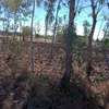 commercial land for sale in Ruiru thumb 0
