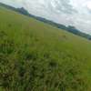 Land for sale in Lenchani thumb 1