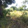 10 Acres Available For Sale in Malindi thumb 2
