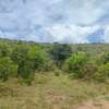 Land in Narok thumb 21