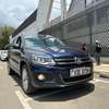 Asian Lady Owned Volkswagen Tiguan thumb 1