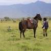 0.4 Acre Land For Sale in Naivasha , Pana Ranch thumb 6