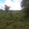 1,200 Acres Available For Lease in Kajiado Maili 46 thumb 4