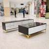 Executive set of tv stand & coffee table thumb 0