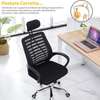 Executive Ergonomic Mesh Office Chair–Adjustable Headrest thumb 5