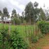 0.05 ha Land in Kikuyu Town thumb 7
