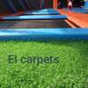 ELEGANT GRASS CARPETS thumb 2