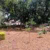 4 Bed House with Garden in Runda thumb 11