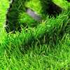 refresh your floors with grass carpet thumb 2