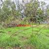 0.05 ha Commercial Land in Kikuyu Town thumb 2