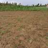 50×100 Plot In Ngarariga Gakawa, Near Nanyuki Airstrip thumb 6