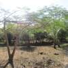 1-Acre Plots For Sale in Diani thumb 1