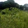 486 m² residential land for sale in Malindi thumb 3