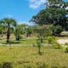 1,000 m² Land at Kuruwitu thumb 29