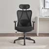 Office Chair: Good Posture Orthopedic High Mesh Back Chair thumb 2