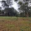 4 ACRES LAND FOR SALE IN ROSSYLYN ESTATE. thumb 0