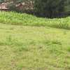 1,000 m² Residential Land in Ngong thumb 5