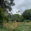 0.9 ac Land in Westlands Area thumb 4