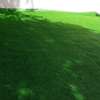 FRONT YARD GRASS CARPETS thumb 2