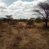 130 Acres of Land For Sale in Ngatataek - Old Namanga Rd thumb 2