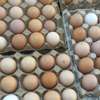 Fertilized Kienyeji eggs thumb 2