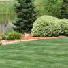 Looking For Vetted  & Trusted Garden Maintenance Specialists in Nairobi ? Free Quote & advice . thumb 12