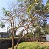 4 Bed Townhouse with Garden in Ngong thumb 14