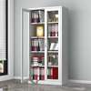 Office Cabinet:  2-Door Full Glass Metallic Office Cabinet thumb 5