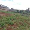 Prime 70 by 100 ft plot for lease in Gikambura Kikuyu thumb 5