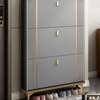 Office Cabinet : Modern Adjustable Shoe Rack Cabinet thumb 1
