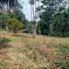 2,023 m² Residential Land at Rosslyn Lone Tree thumb 5