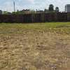 0.125 ac Residential Land at Canaan Street thumb 4