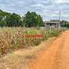 0.125 ac Residential Land in Kamangu thumb 19
