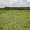 220 Acres Land Located in Malindi Galana Is For Sale thumb 2