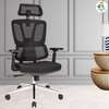 Ergonomic Mesh Office Chair – Adjustable Lumbar thumb 3