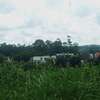 Prime Residential plot for sale in kikuyu, ondiri thumb 7