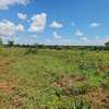 Affordable 50 by 100 land for sale in Matuu thumb 2