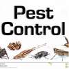 Bed bug control Nairobi Lavington,Gigiri,Runda Ruai thumb 7