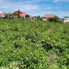 Prime affordable plots for sale in kitengela K.A.G thumb 1