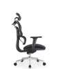 Office Chair: Mesh Orthopedic Designed Office Seat thumb 3