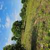 MALINDI AFFORDABLE PLOTS. thumb 0