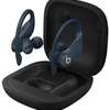 Beats by Dre Powerbeats Pro True Wireless Earbuds thumb 6