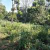 0.5 ac residential land for sale in Runda thumb 2